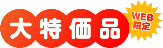 WEB限定大特価