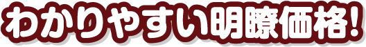 安心のコミコミ価格